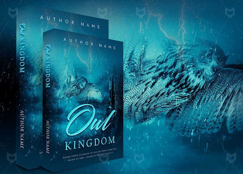 Fantasy-book-cover-design-Oul Kingdom-back