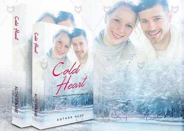 cold cold heart book