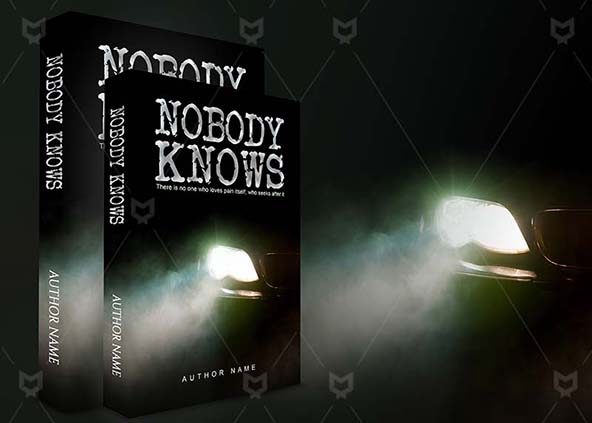Fantasy-book-cover-design-Nobody Knows-back