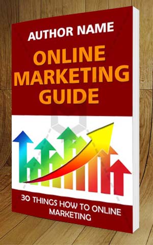 Nonfiction-book-cover-design-Online Marketing Guide-3D