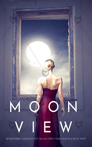 Romance-book-cover-Moon--Moonlight--Beauty-woman--Beautiful-woman--Open-window--Woman-back--Beautiful-women--Beautiful-woman-body--Midnight--Princess
