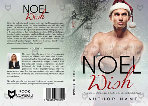 Romance-book-cover-design-Noel Wish-front